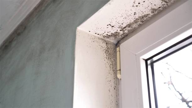 Best Air Quality Testing for Mold Spores  in Gettysburg, SD