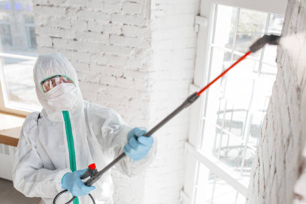 Best Mold Remediation for Rental Properties  in Gettysburg, SD