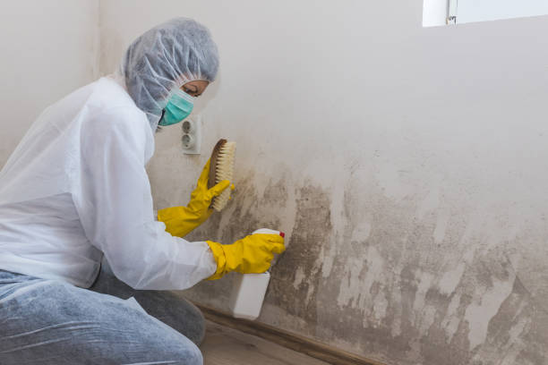 Best Emergency Mold Remediation  in Gettysburg, SD