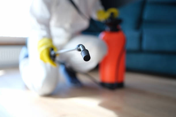 Best Crawl Space Mold Remediation  in Gettysburg, SD