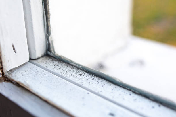 Best Comprehensive Air Testing for Mold Contaminants  in Gettysburg, SD