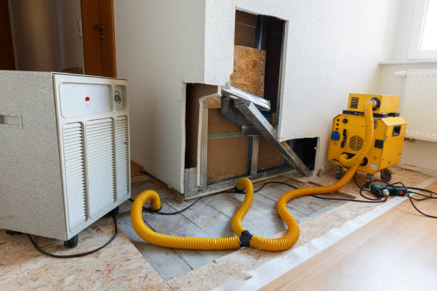 Gettysburg, SD Mold Removal Company