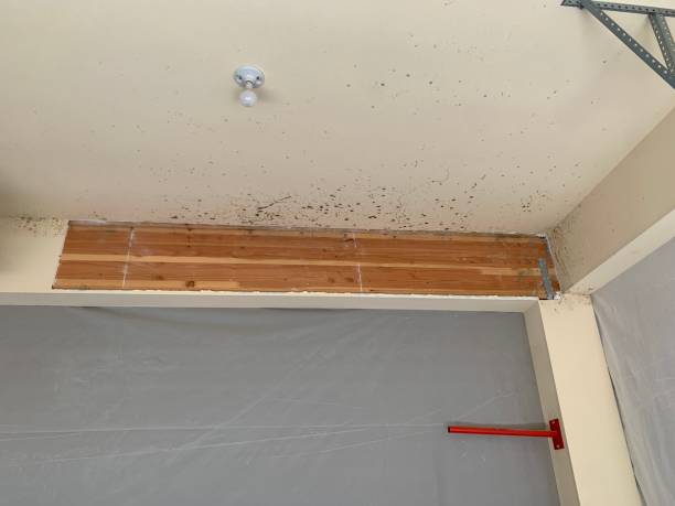 Best Post-Remediation Verification Testing  in Gettysburg, SD