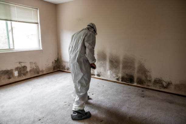 Mold Documentation for Insurance Claims in Gettysburg, SD